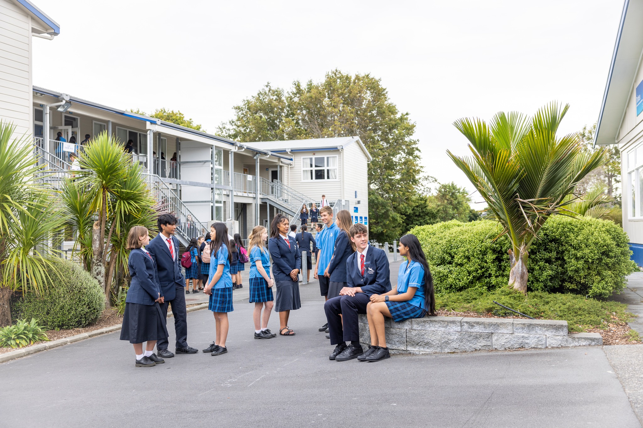 500559823_1246662290493663_827352674253514959_n